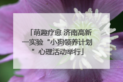 萌趣疗愈 济南高新一实验“小狗领养计划”心理活动举行
